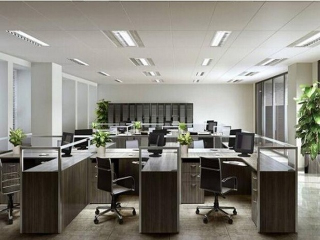 正版金蝶财务软件